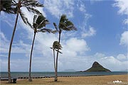 Hawaii Kualona Beach auf oahu