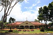 Ananas Farm - Dole Hawaii