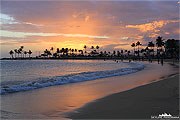 sonnenuntergang mit Palmen Hawaii