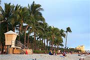 Hawaii Palmen am Strand