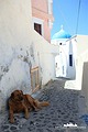 Santorini Oia