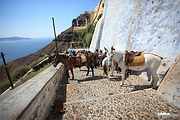 Santorini Oia