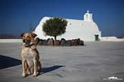 Santorini Oia