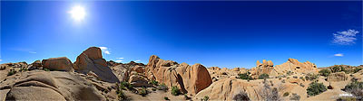 Joshua Tree NP