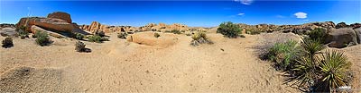 Joshua Tree Nationalpark 
