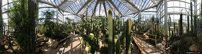 Palmengarten