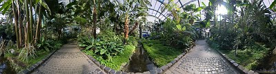 Palmengarten