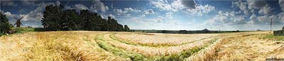 Windm�hle Polleben