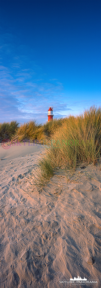 Borkum vertikal Panorama Dünen (p_00963)