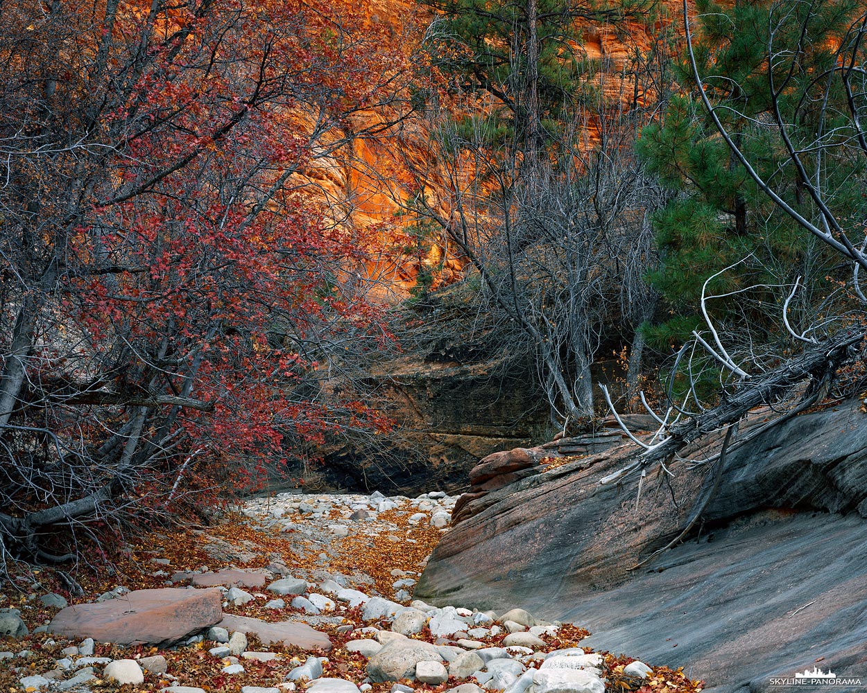 Zion Nationalpark - Wanderung im Herbst (gf_0014)