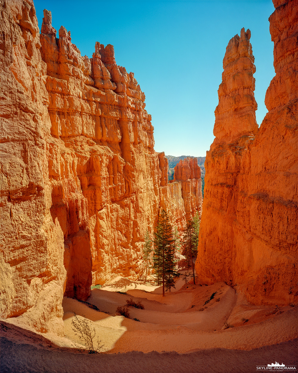 Bryce Canyon Nationalpark - Queens Garden Trail (gf_0016)