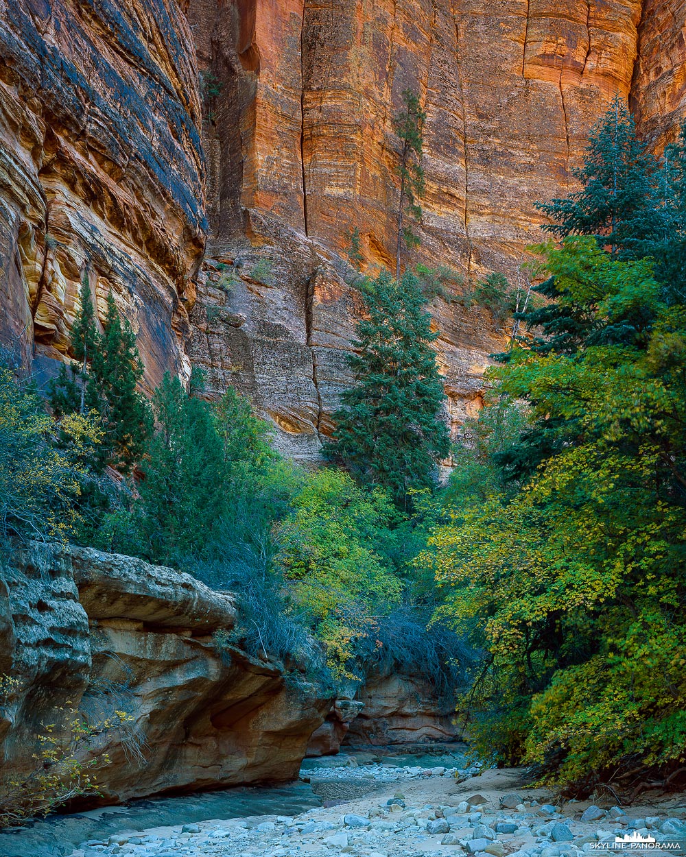 Zion Nationalpark Utah im Herbst (gf_0025)