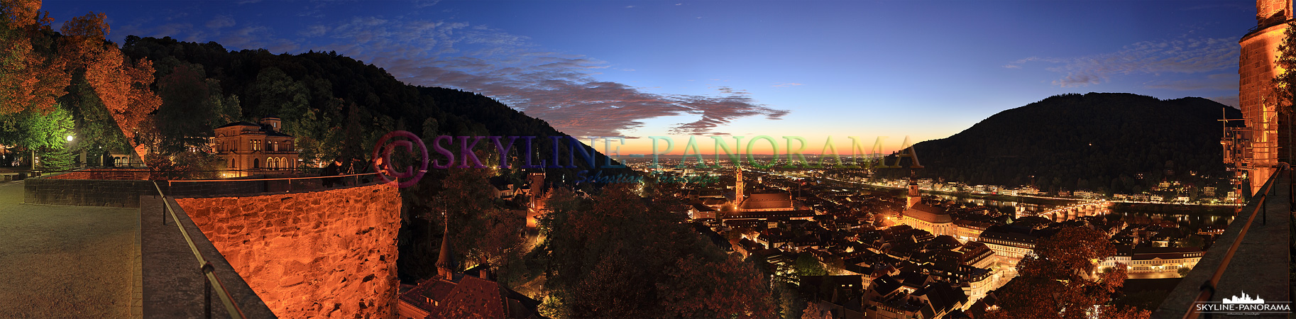 Heidelberg Panorama der Altstadt (p_00808)