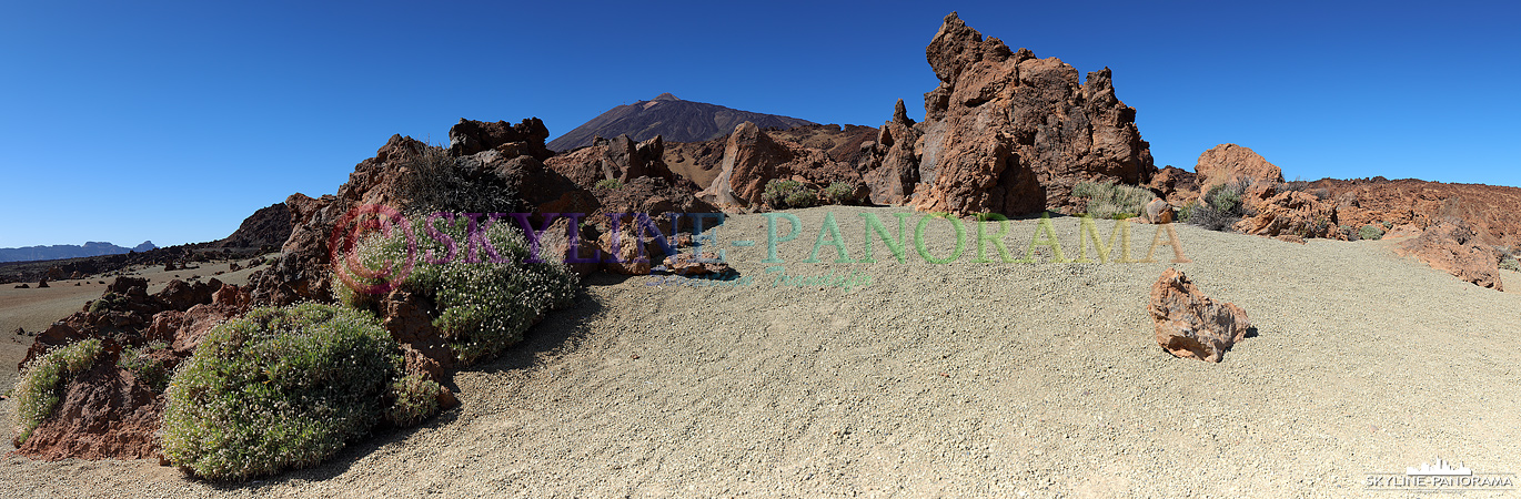 Panorama Pico del Teide – Teneriffa (p_00851)