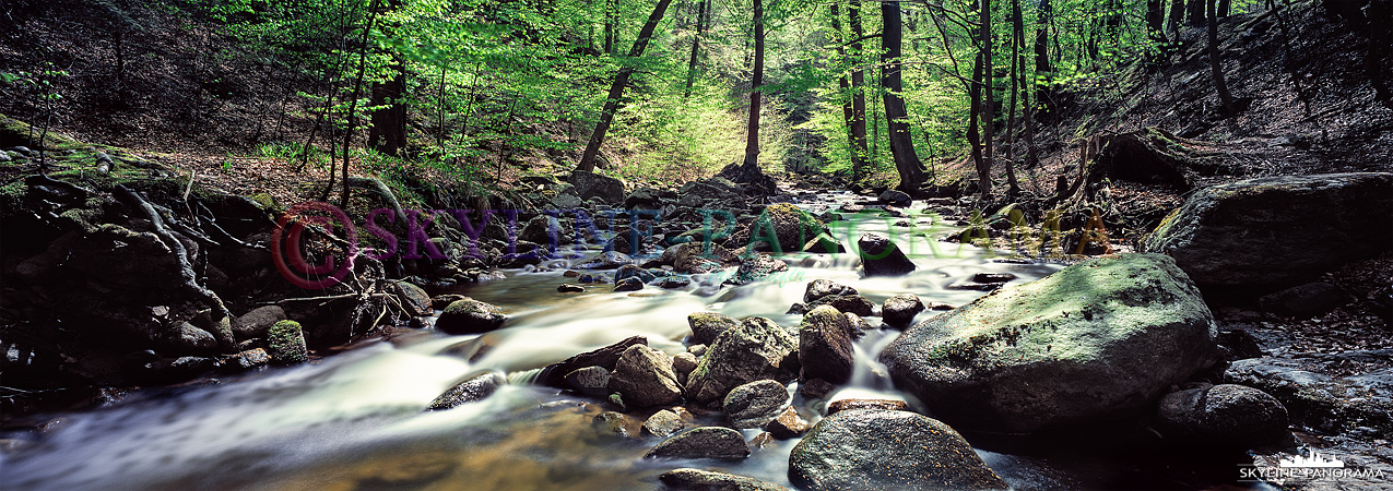 Harz Panorama – Ilsetal & Ilsefälle (p_00924)