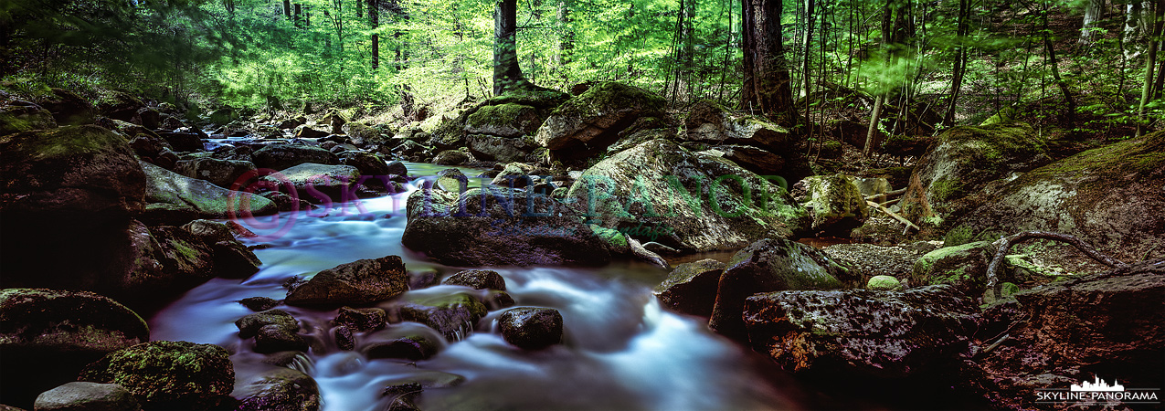 Ilsefälle im Harz (p_00925)