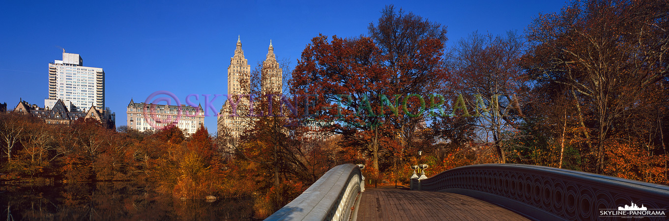 Central Park – Bow Bridge Panorama (p_01058)