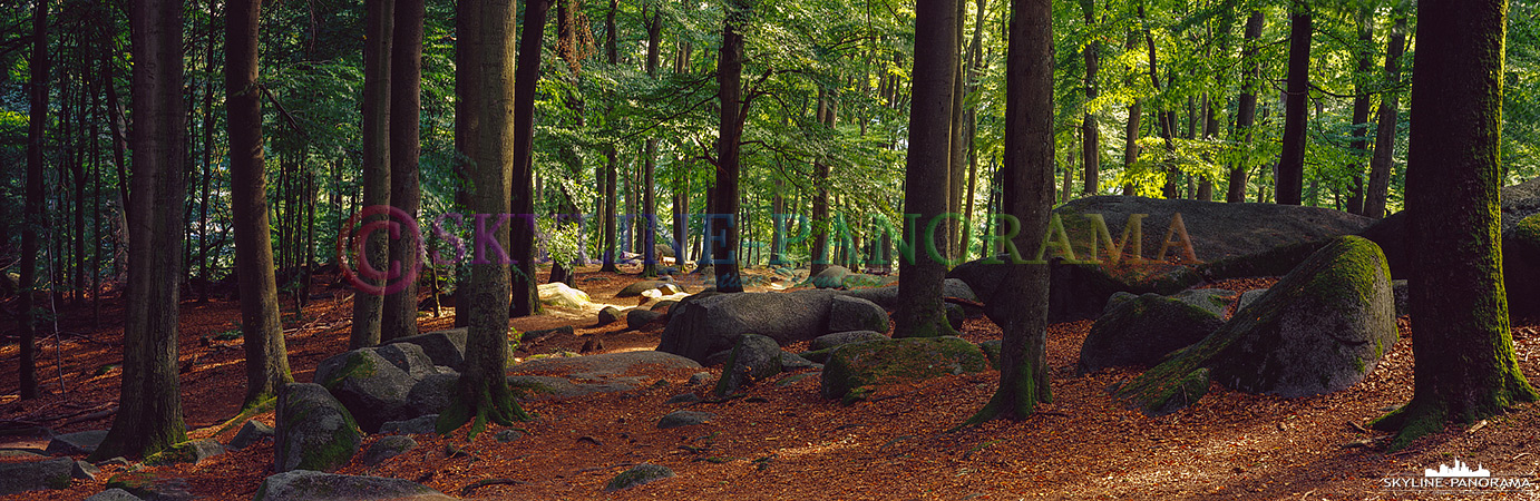 Panorama Felsenmeer Odenwald – Altarstein (p_01074)