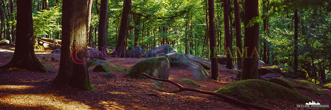 Panorama Hessen – Felsenmeer im Odenwald (p_01075)