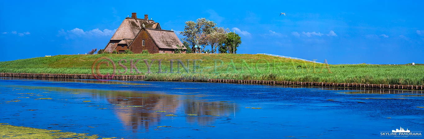 Panorama Hallig Hooge in 6×17 (p_01089)