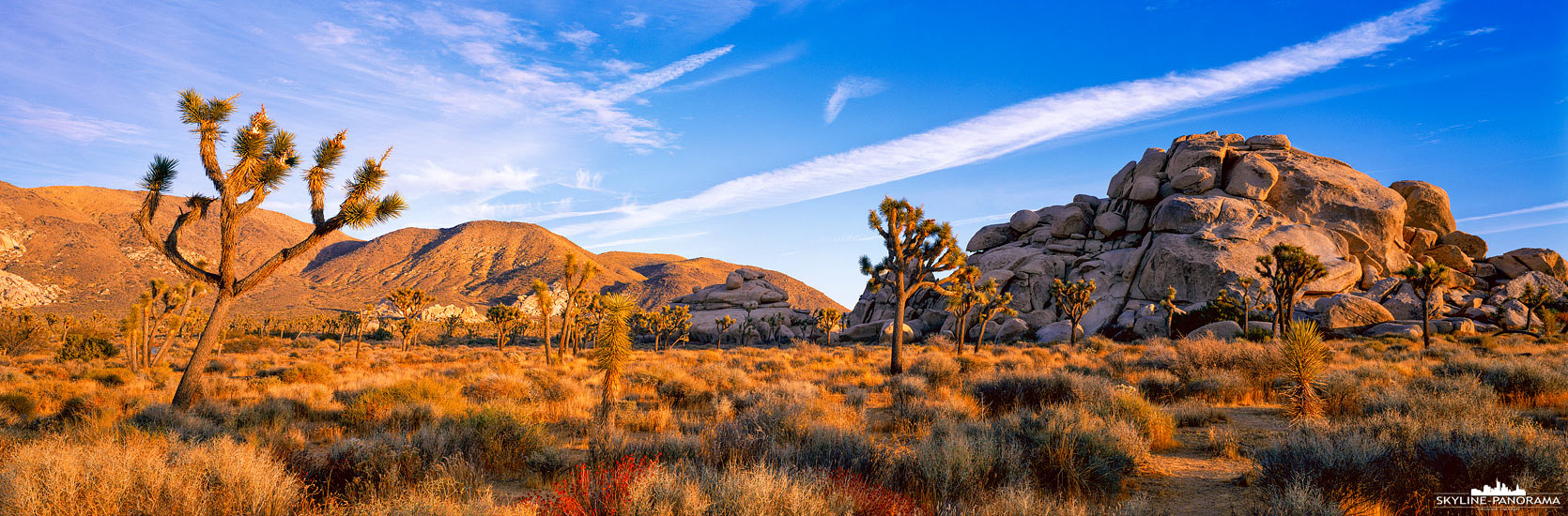 Joshua Tree NP - Sunset Cap Rock (p_01119)