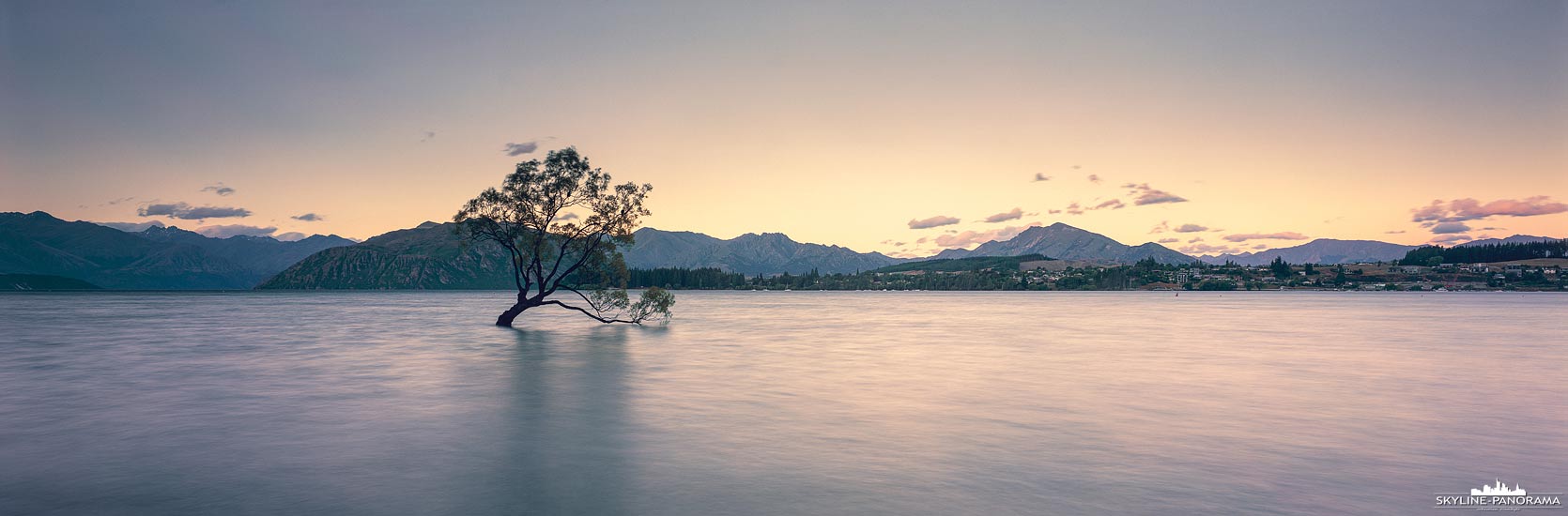 That Wanaka Tree - New Zealand (p_01126)