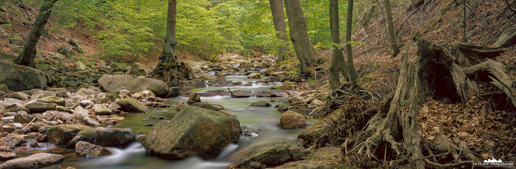 Harz Motive - Panorama Ilsetal (p_01181)