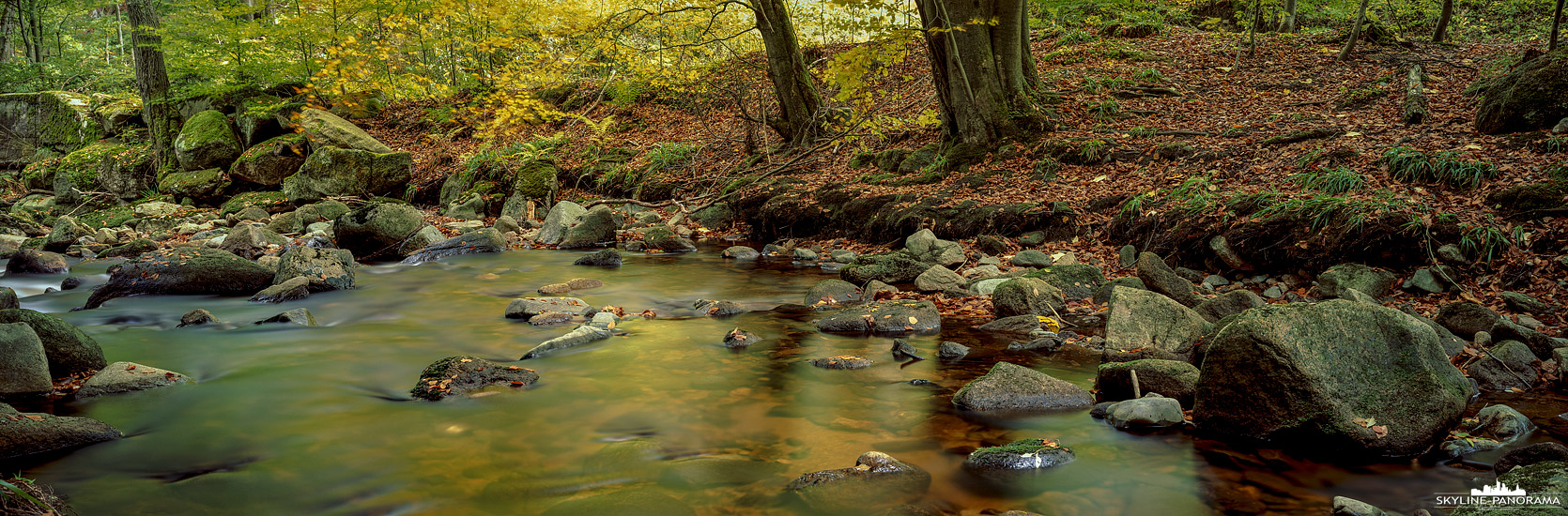 Herbst im Ilsetal - Harz Panorama (p_01214)