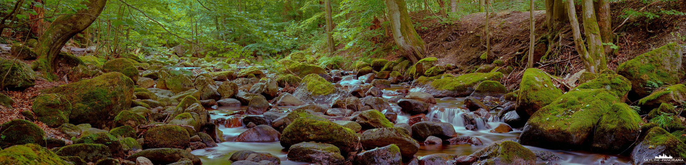 Harz Panorama - Fluss Ilse bei Ilsenburg (p_01292)