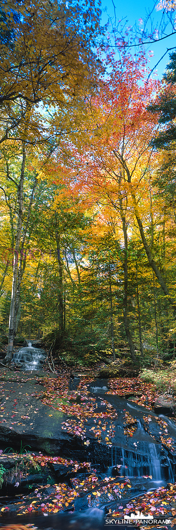 6x17 vertikal Panorama - Unterwegs an einem Wasserfall zur Zeit des Indian Summers in kanadas Osten. 