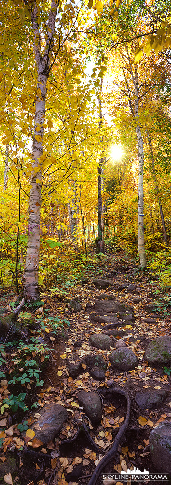 vertical 6x17 - Panorama im Hochkantformat aus dem Indian Summer im kanadischen Osten. 