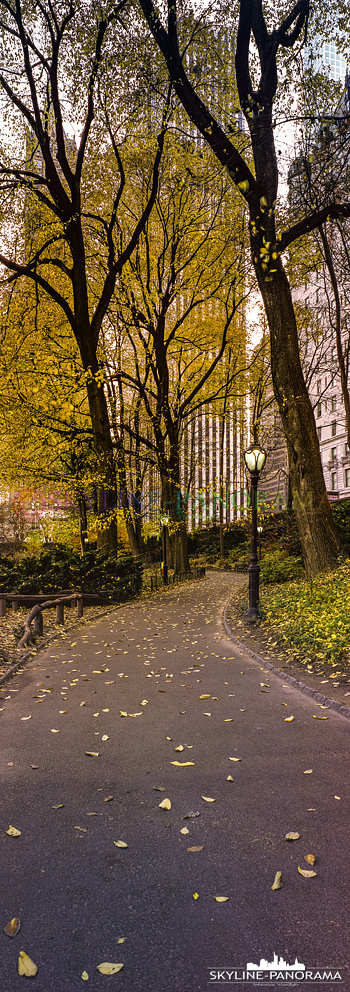 New York vertikal - Ein Panorama im Format 6x17 aus dem herbstlichen Central Park im Herzen von Manhattan New York City.