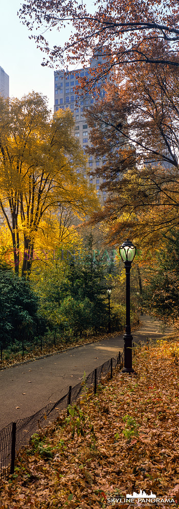 New York City vertikal - Eine Ansicht aus dem herbstlichen Central Park im Herzen New Yorks im vertikalen Panoramaformat 6x17.