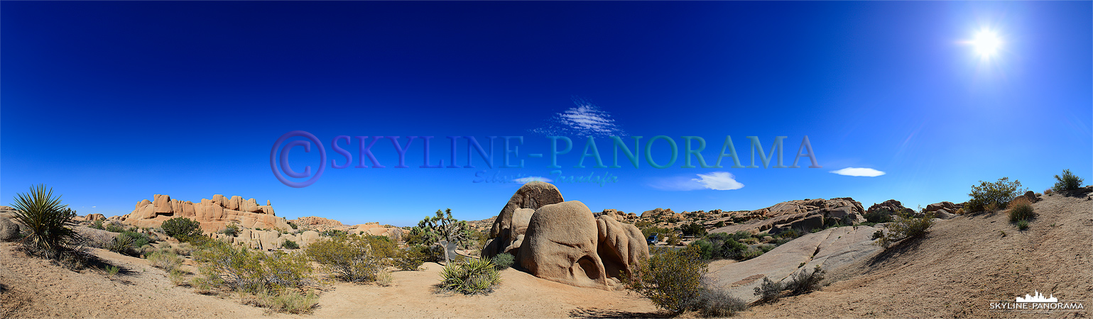 Bilder aus dem Joshua Tree Nationalpark - Der Joshua Tree Nationalpark befindet sich circa 90km nordöstlich von Palm Springs im US Bundesstaat Kalifornien ...