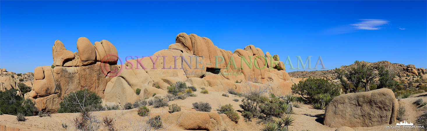 Joshua Tree Nationalpark - einer der Schönsten der USA - Die Felsformationen in dem hier gezeigten Teil des Joshua Tree Parks tragen den Namen Jumbo Rocks. 