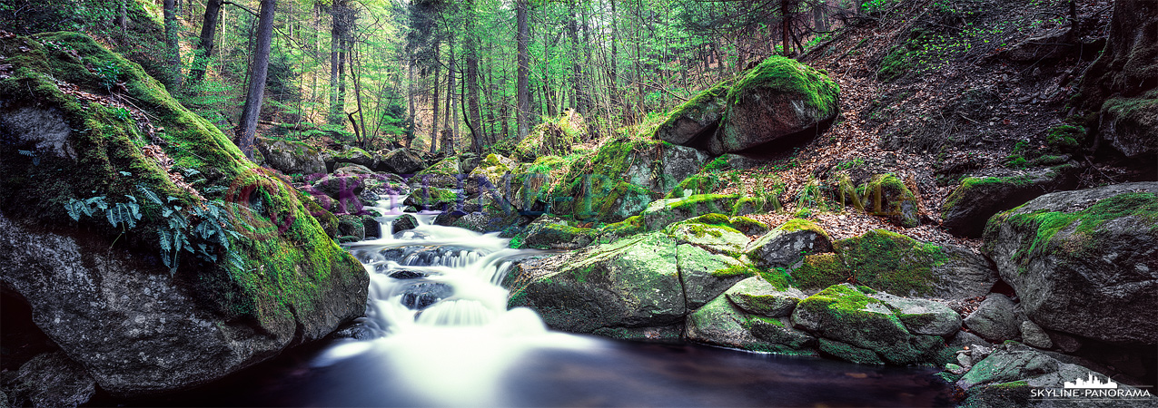 Bilder aus dem Harz - Dieses Panorama zeigt den Wald bei Ilsenburg im Harz, der Fluss Ilse überwindet kurz hinter der Ortschaft einige Höhenmeter, daher nennt man diesen Flussabschnitt Ilsefälle. 