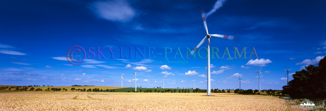 Windpark im Südharz - Mehrere Windkraftanlagen auf einem sommerlichen Getreidefeld als hochauflösendes Panorama im 6x17 Format. 