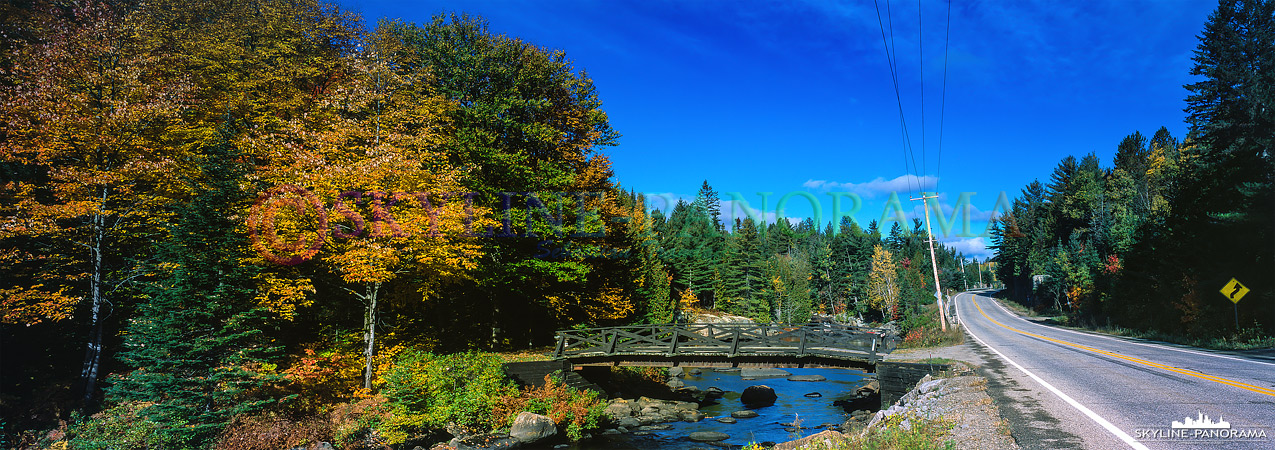 6x17 Panorama aus Kanada - Herbstwald und eine Straße in Kanada.