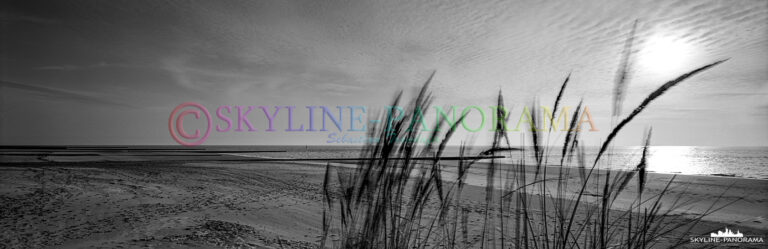 Dünengras Panorama - Insel Borkum (p_00962)