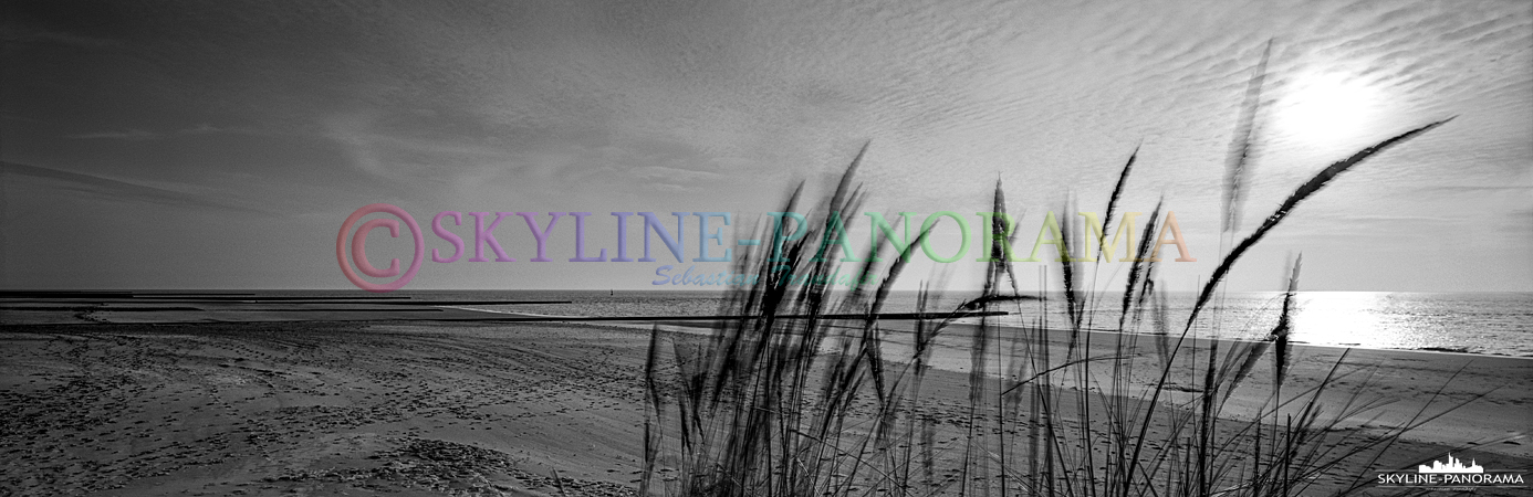 Strand von Borkum - Sich im Wind wogendes Dünengras als monochromes Fine Art Panorama im 6x17 Format. 