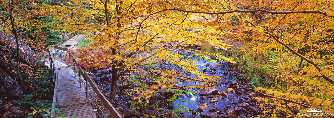 Bilder Kanada - Wanderung an einem Bachlauf im kanadischen Indian Summer. 