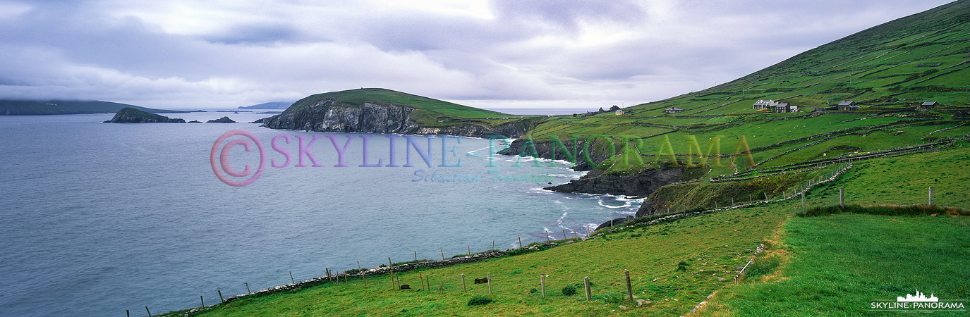 6x17 Panorama - Unterwegs auf der Dingle Halbinsel von Irland, hier am südwestlichsten Zipfel ein Blick auf einen Teil der Blaskets Inselgruppe vor Dingle. 