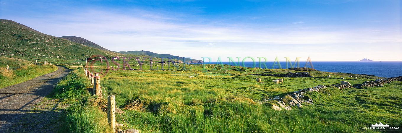 6x17 Panorama - Diese Aufnahme entstand unterwegs am Skellig Ring und zeigt den Blick in die satt grüne Landschaft von Irland. 