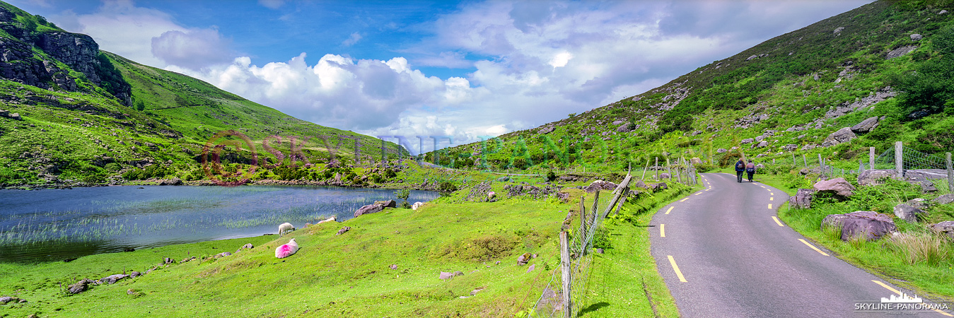 6x17 Panorama - Unterwegs am Gap of Dunloe, als Wanderer durch die Dunloe-Schlucht muss man sich den gut asphaltierten Weg mit ein paar Pferdekutschen teilen.