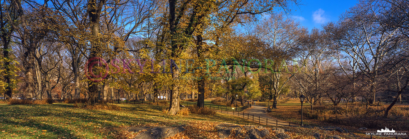 6x17 Panorama - Auch Anfang Dezember kann man Glück haben und noch etwas vom goldenen Herbst im New Yorker Central Park genießen.