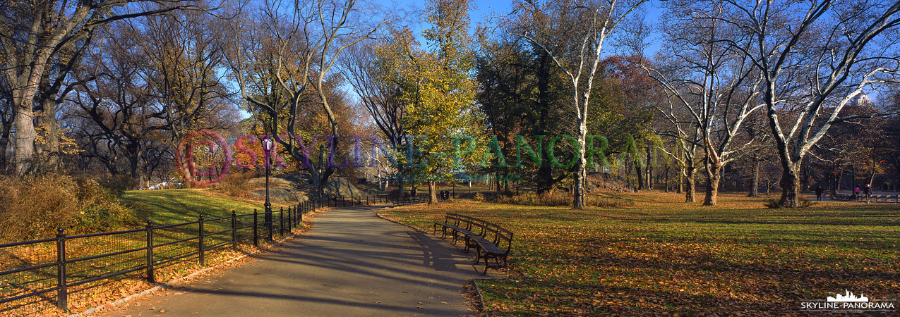 6x17 Panorama New York City - Der New Yorker Central Park Anfang Dezember, an einigen Stellen ist der goldene Herbst noch zu sehen.