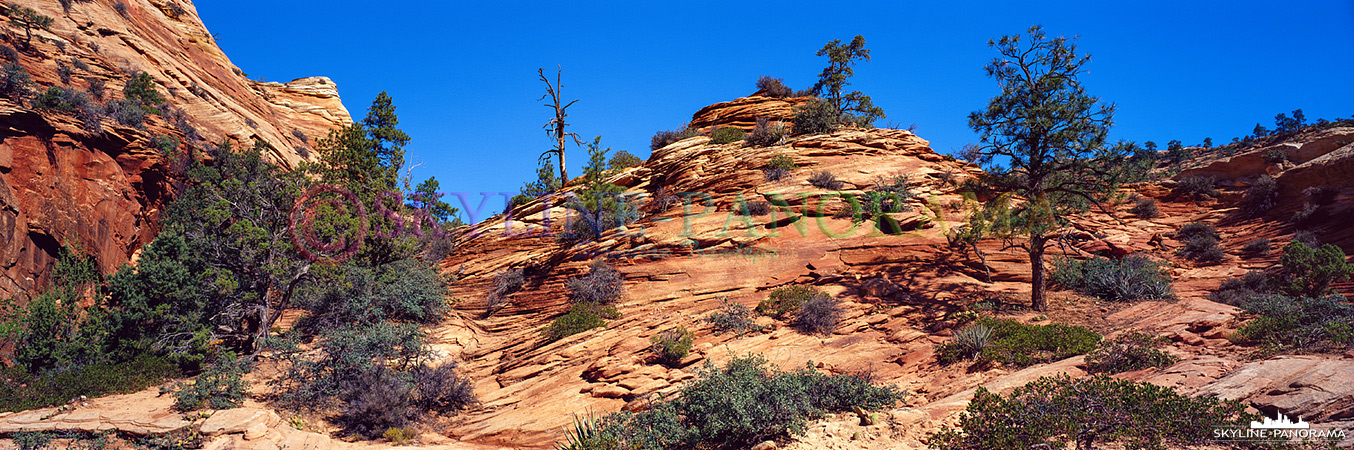 6x17 Panorama Utah - Das hier gezeigte Panorama entstand im Osten des Zion Nationalparks, ein paar Minuten hinter dem Tunnel in Richtung Ausgang. 