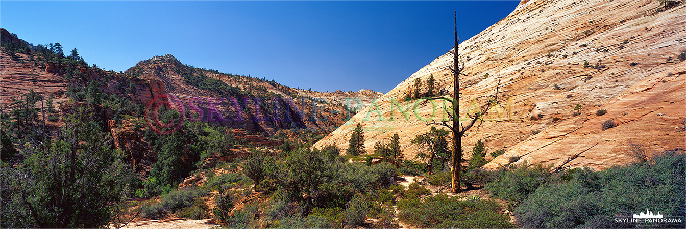 Unterwegs in einem der beliebtesten Nationalparks von Utah, das hier gezeigte Motiv entstand am Wegesrand, hinter dem Ausgang im Osten des Zion Nationalparks. 