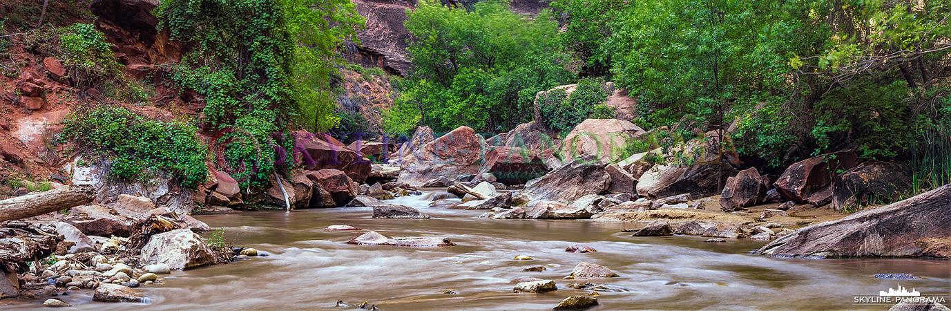 6x17 Panorama - Der Virgin River im Zion Nationalpark Utah kurz vor dem Einstieg in die Narrows. 