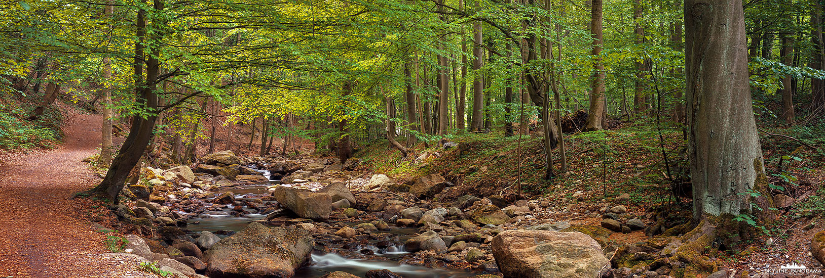 6x17 Panorama aus dem Harz - Unterwegs im beschaulichen Tal der Ilse bei Ilsenburg im Harz entlang des Heinrich Heine Wanderwegs in Richtung Brocken.